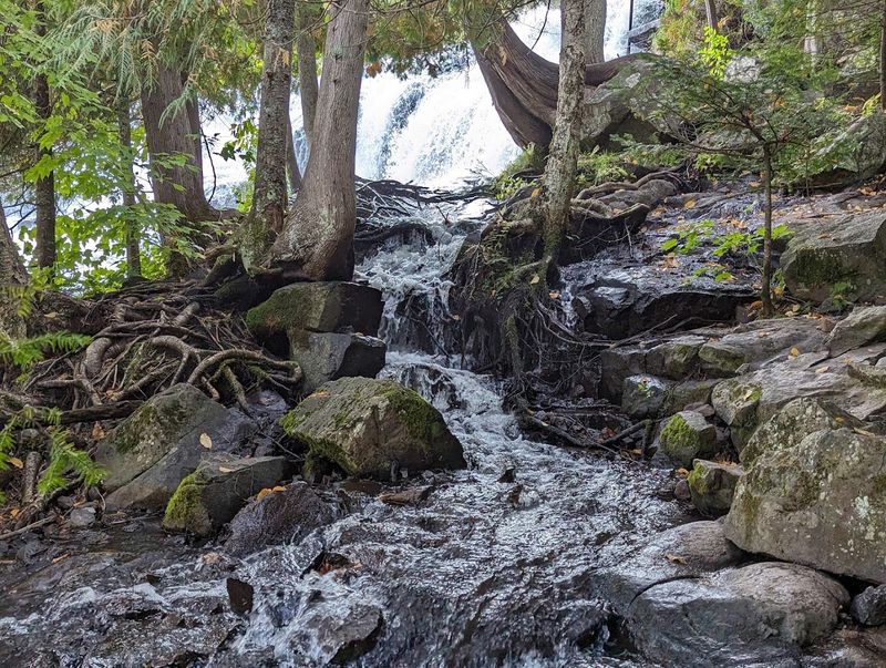 What the Surrounding Trails Feel Like Up Close