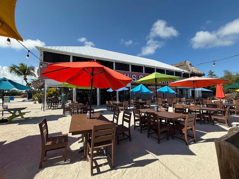 When to Go and What to Expect