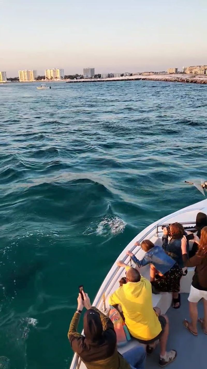 The Crew That Makes the Whole Thing Work