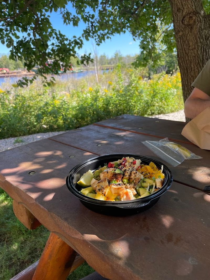 Poke Bowls in the Upper Peninsula: Yes, Really