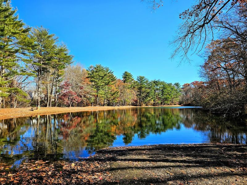 The Fishing Pond: A Peaceful Spot With Some Caveats