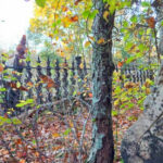 The Bridgewater Triangle: New England’s Paranormal Hotspot