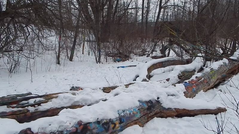 When to Visit and What to Expect Year-Round