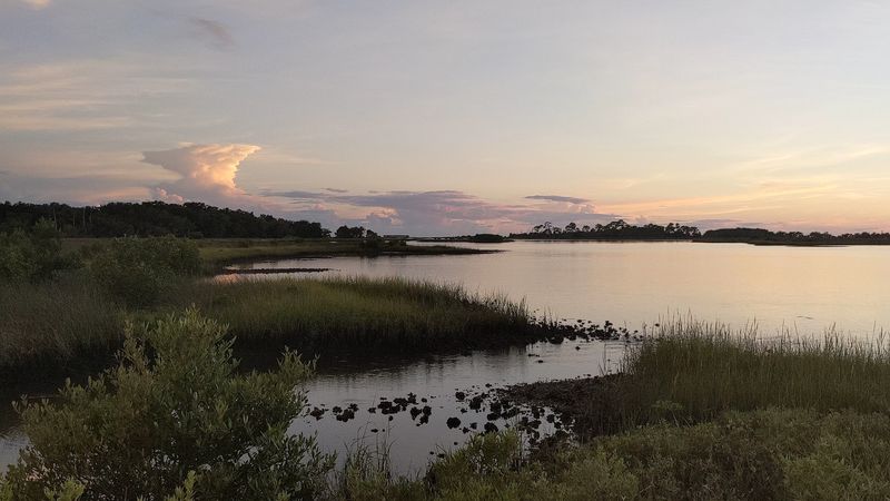 Stargazing Potential at One of Florida's Darker Skies