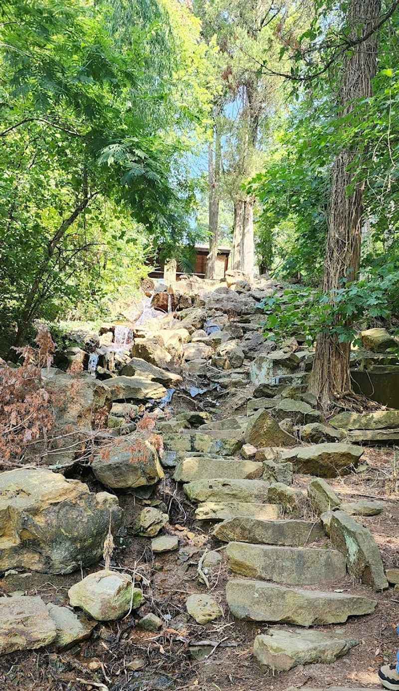 Trails, Steps, and Scenic Routes Through the Arboretum