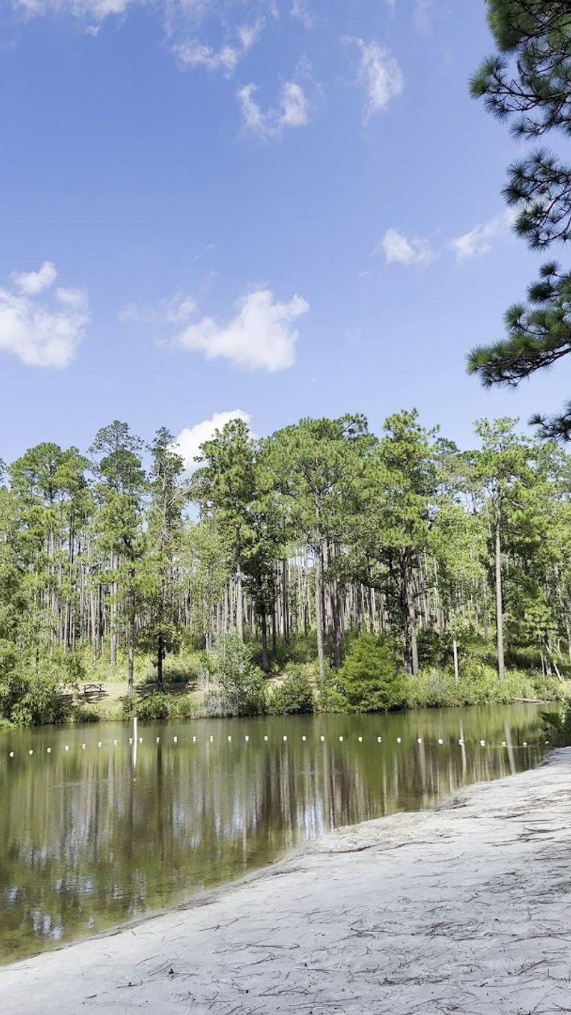 Turtle Lake and the Swimming Spot Families Love