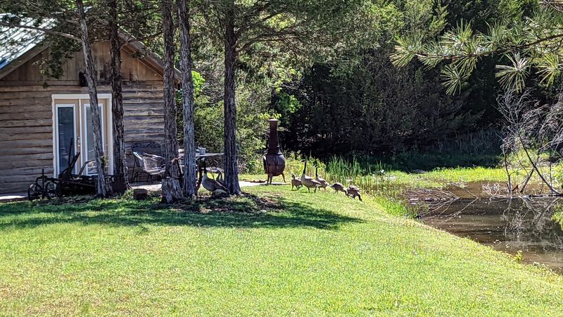 Morning Starts With a Hot Country Breakfast