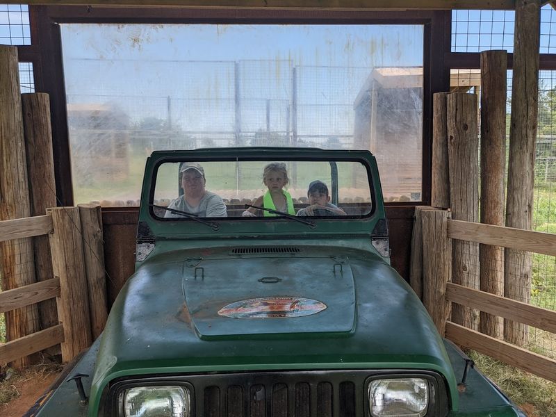 Sunset Safaris and After-Hours Roaming