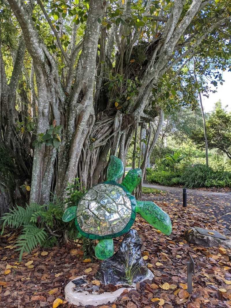 The Jungle Lights Christmas Event