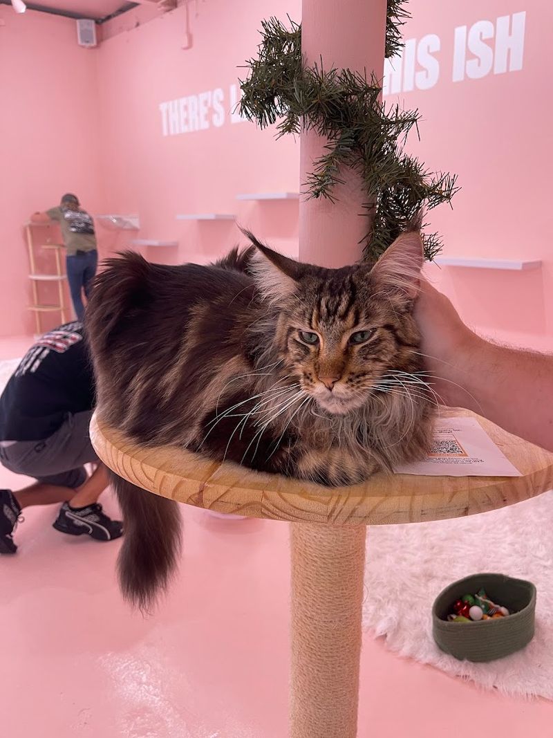 Why This Café Is Worth Your Time