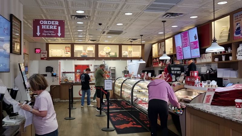 When to Go and What to Expect