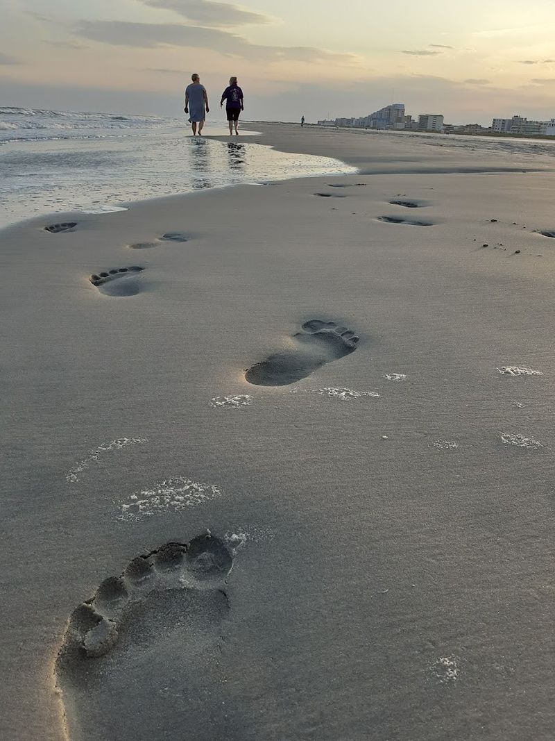 Why People Keep Returning Season After Season