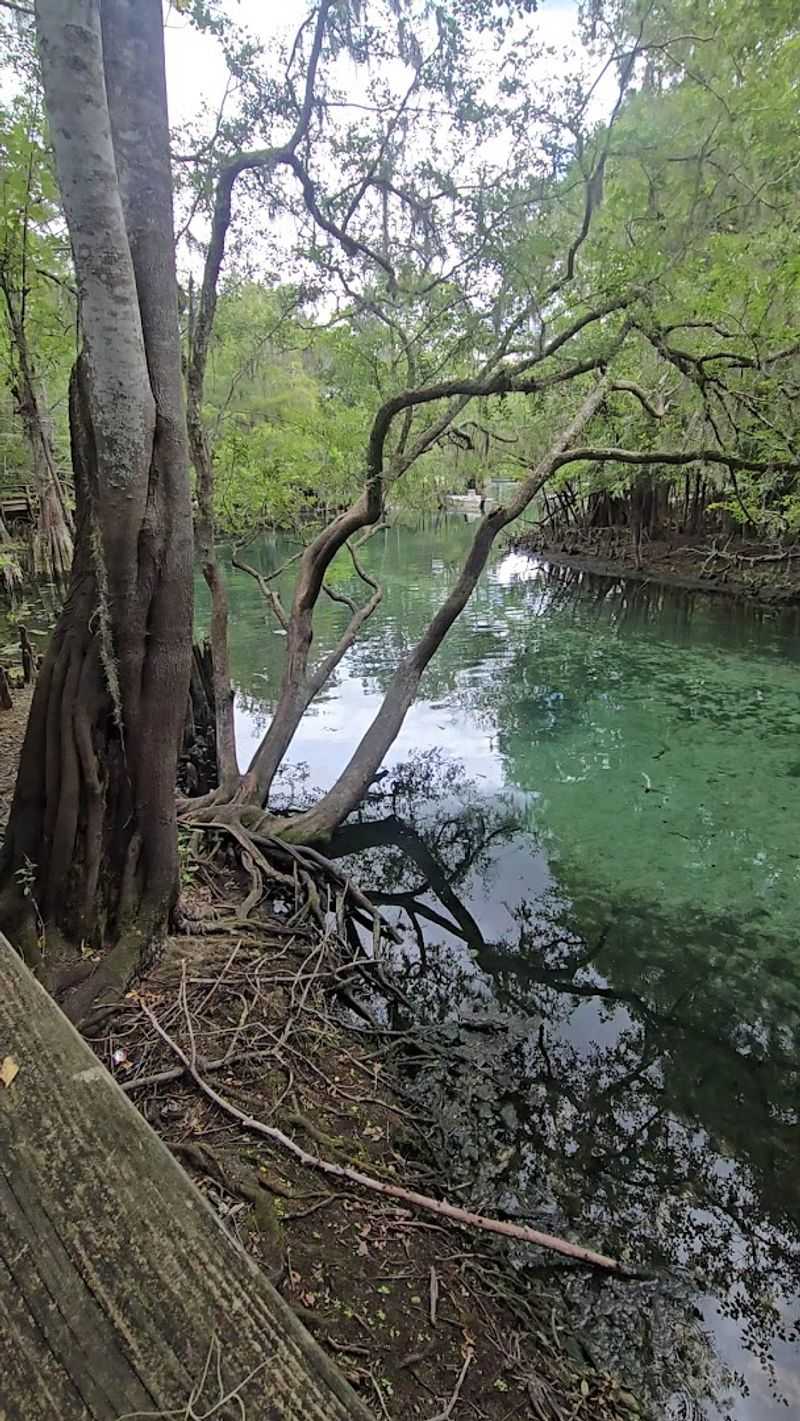 Nearby Attractions and Day Trips