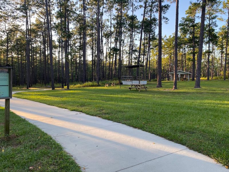 The Playground and Picnic Area Next to the Waterfall