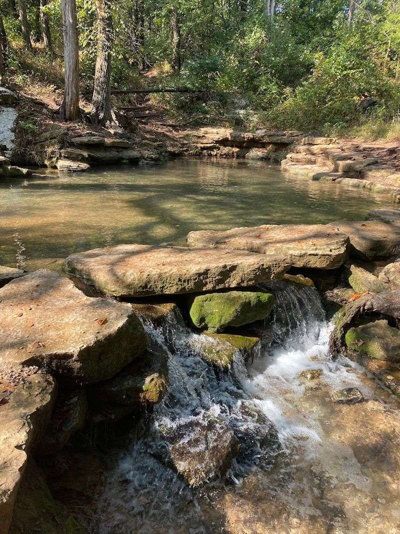 Natural Springs and the Famous Spring-Fed Pool