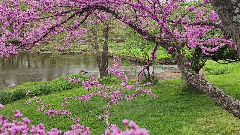 Photography, Weddings, and Special Occasions