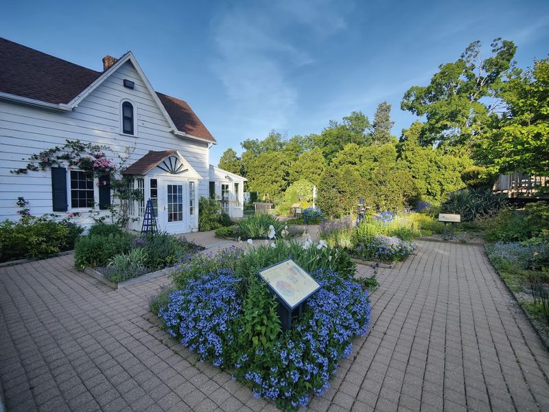 Free Admission and a Few Rules Worth Knowing