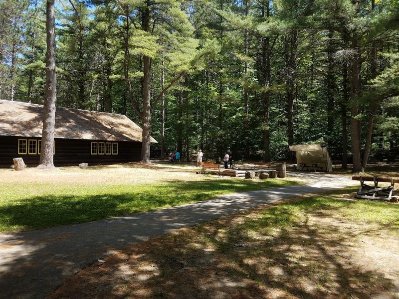 Camping Under the Pines: From Primitive to Full Hookup