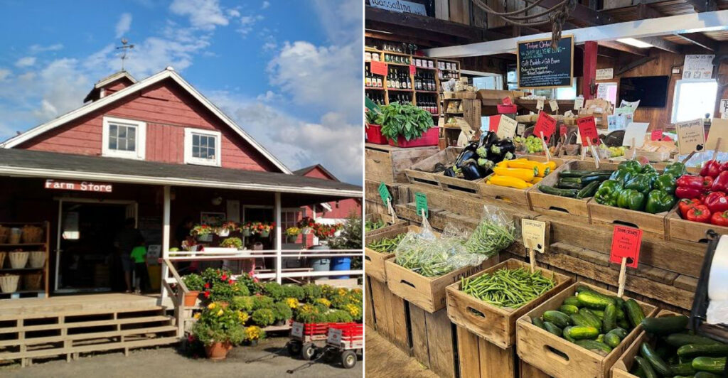 The Charming Orchard Destination Near Princeton Everyone Falls in Love With