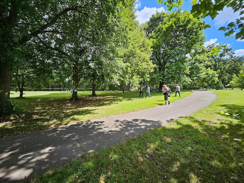 Disc Golf, Labyrinths, and Surprises You Did Not See Coming