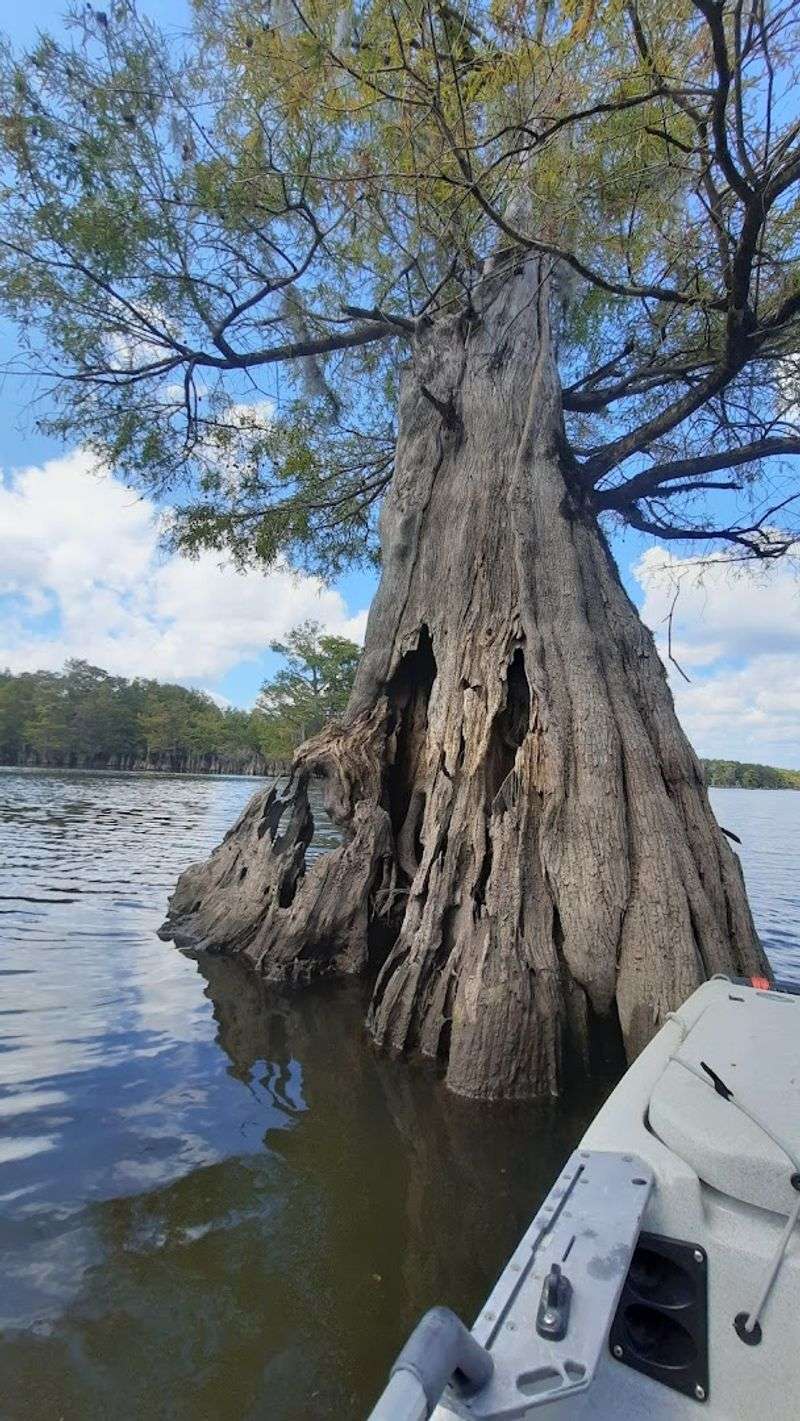 Best Times of Year to Make the Trip