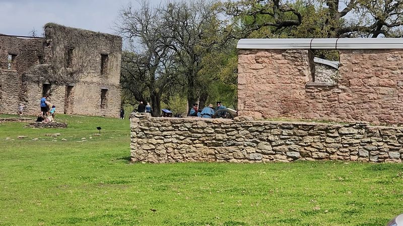 Walls Built From Fossils