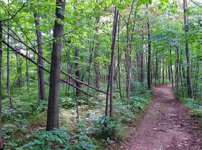 Trails That Go From Easy to Genuinely Beautiful