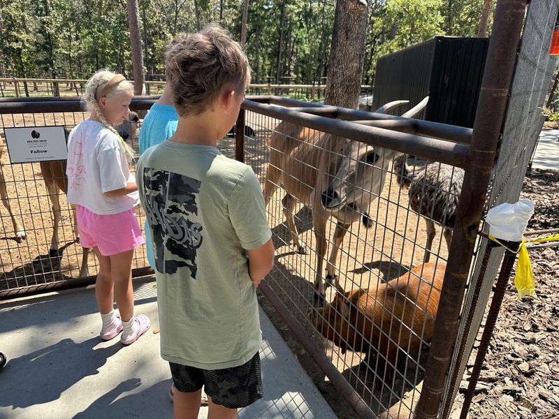 Visiting With Kids and Groups of All Ages