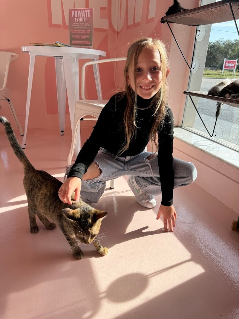 Hours and When to Visit