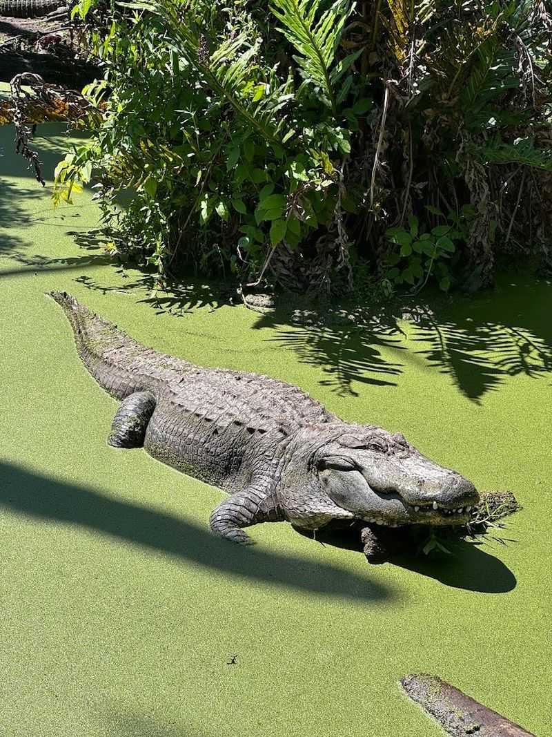 Best Time to Visit: Timing Your Trip Right