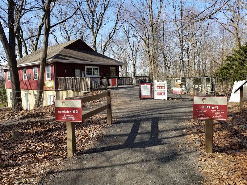 The Forest School Program for Young Learners