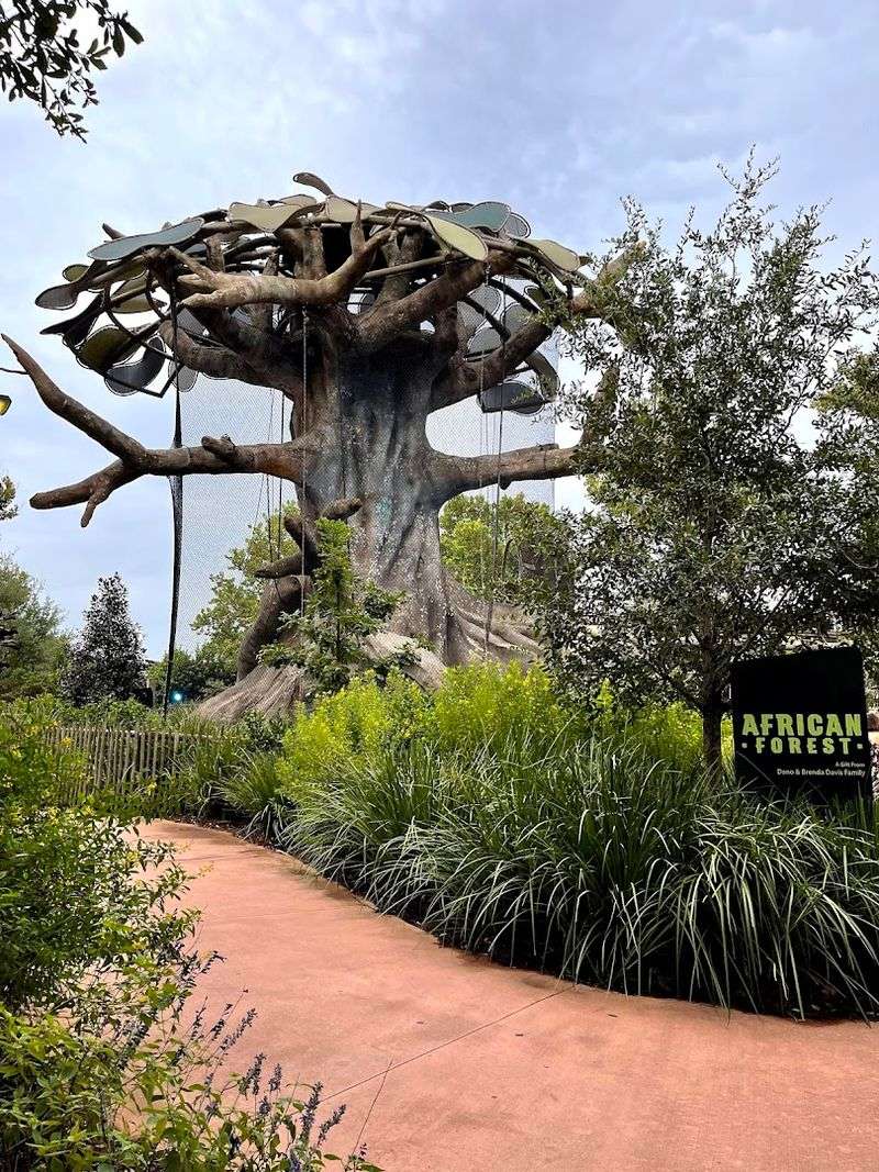 How the Center Fits Into the Zoo's Broader Vision