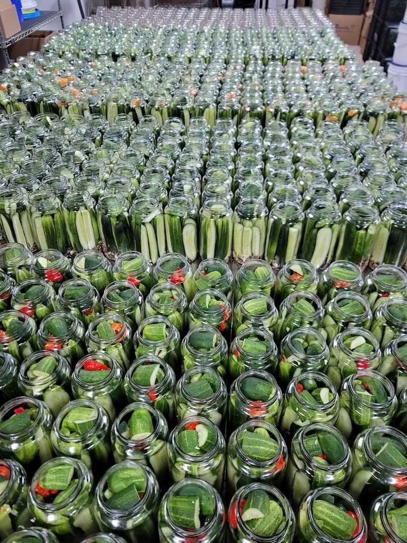 Half Sours: A Category of Their Own