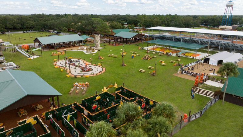 Jumpin Jax and the Bounce Area