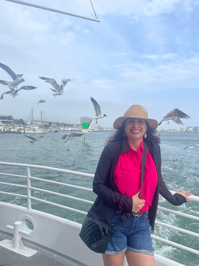 Feeding the Seagulls: A Crowd Favorite You Won't See Coming