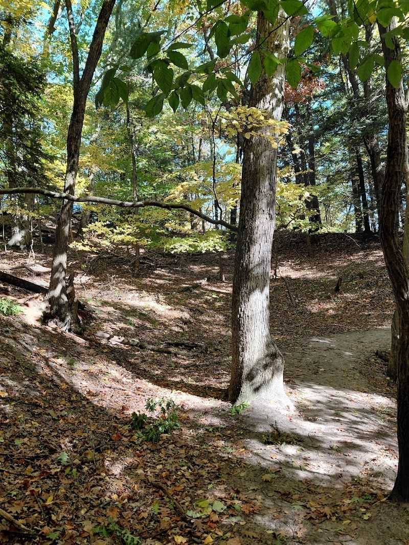 Trails That Suit Every Kind of Hiker