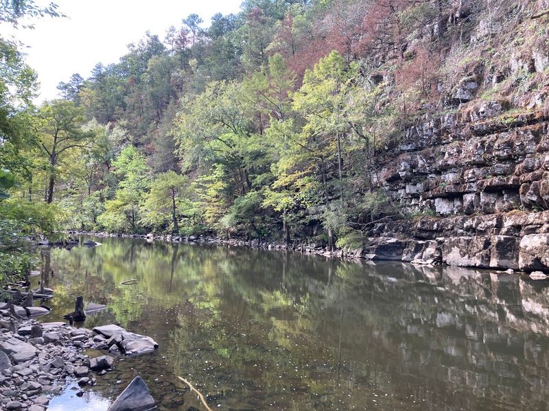 Wildlife You Can Expect to Encounter