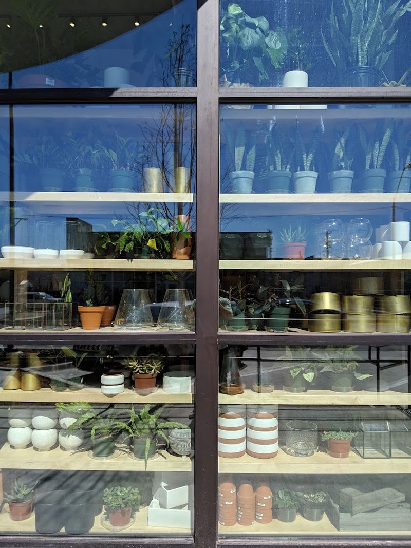 Knowledgeable Staff Who Actually Help