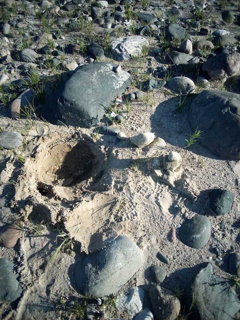 The Artesian Well Near the Parking Lot