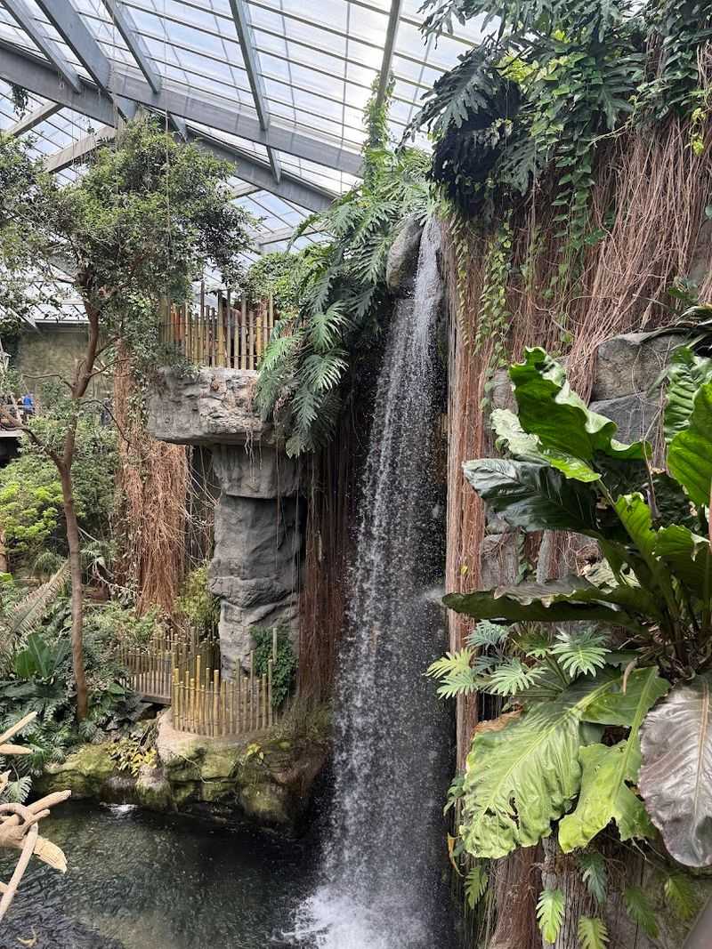 Lush and Wild: The Indoor Rainforest Experience