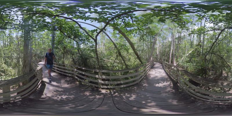 Accessibility and Family Friendliness: Everyone Gets to Come Along