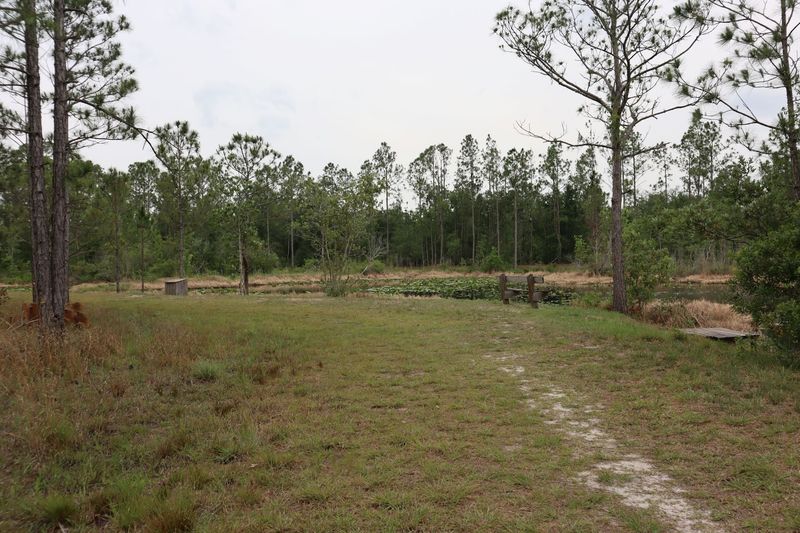 Security and Safety: Patrols, Peace of Mind, and a Quiet Neighborhood Feel