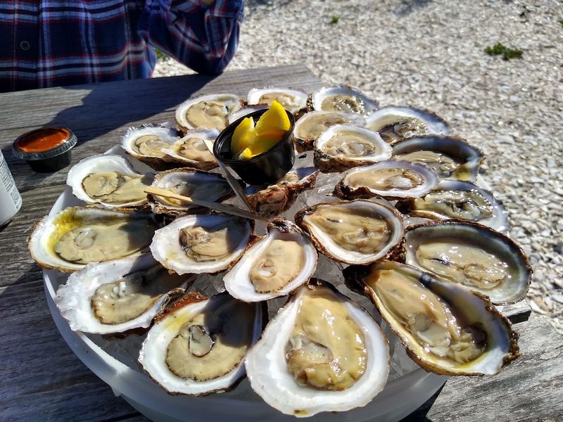The Oysters: Fresh from the Water That Morning