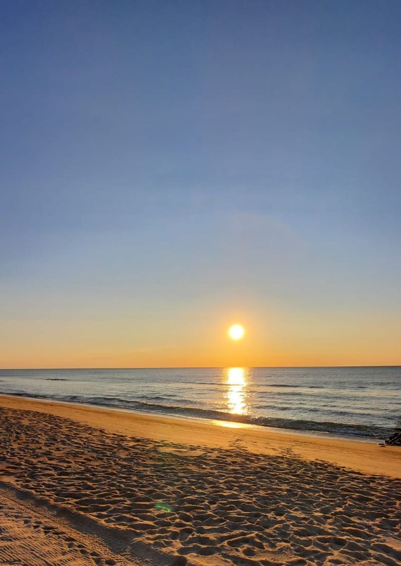 Best Times to Visit and What to Expect