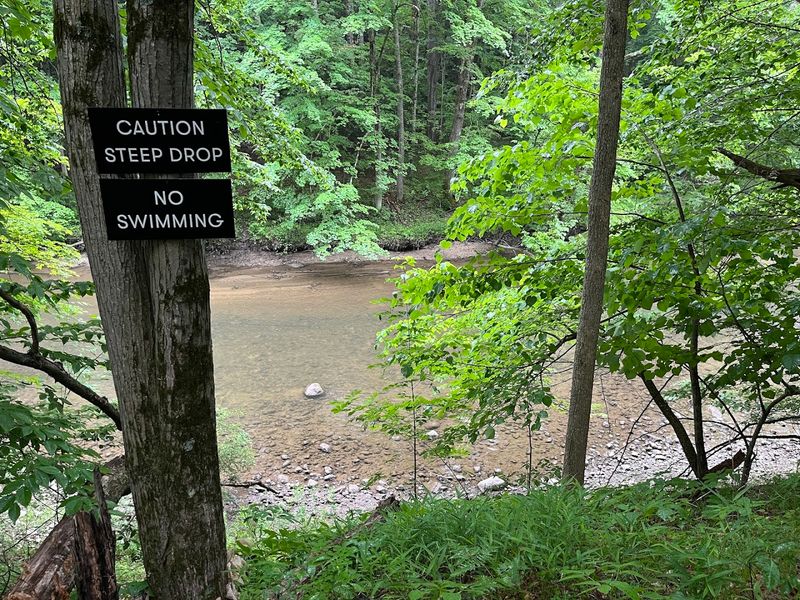 Nature Trails, the River, and What Surrounds the Property