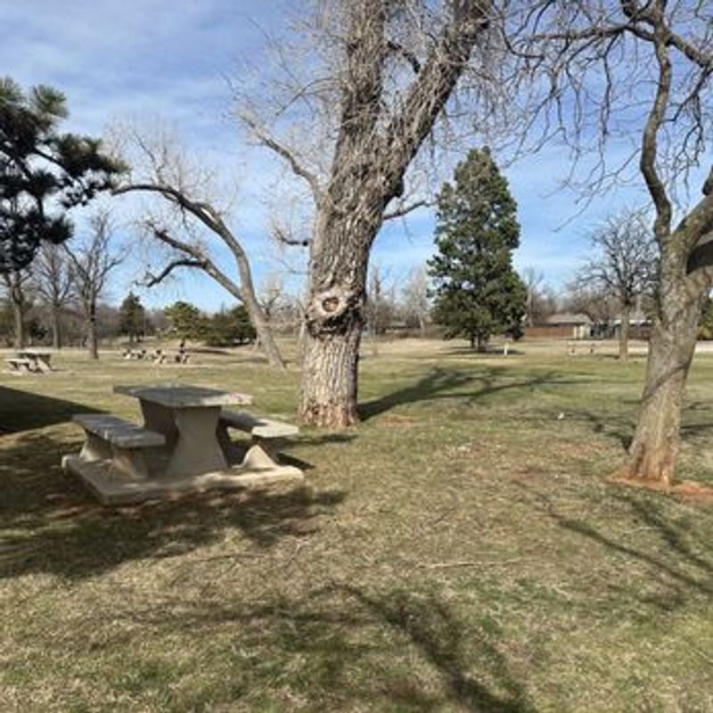 Picnicking, Playgrounds, and Family Time