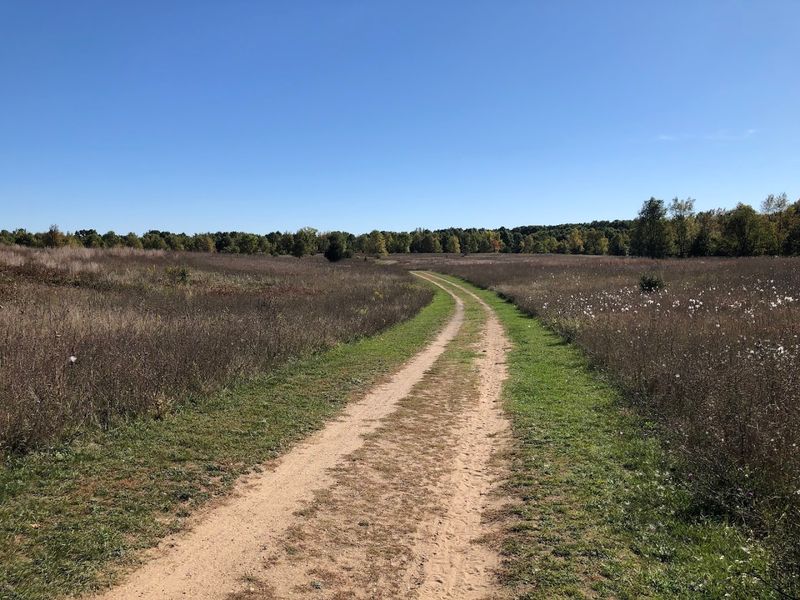 Mountain Biking and Active Recreation Beyond Walking