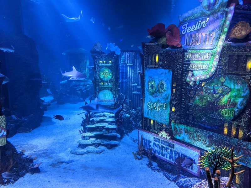 Sea Life Aquarium: An Unexpected Highlight