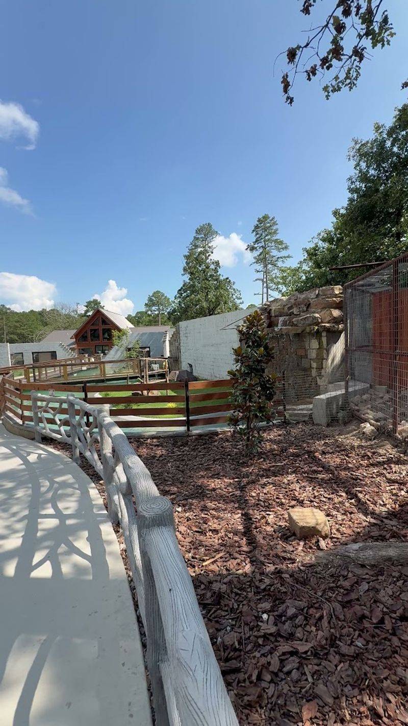 The Walk-Around Zoo and Animal Exhibits