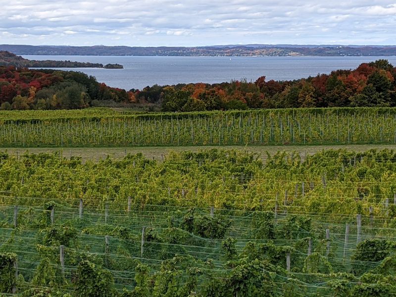 Orchards, Fields, and the Working Landscape